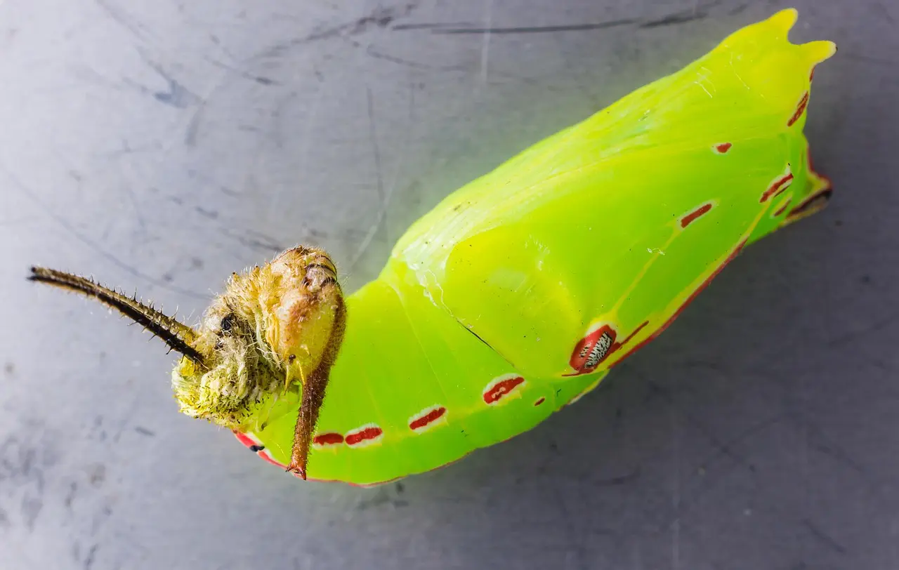 Marketing illustration