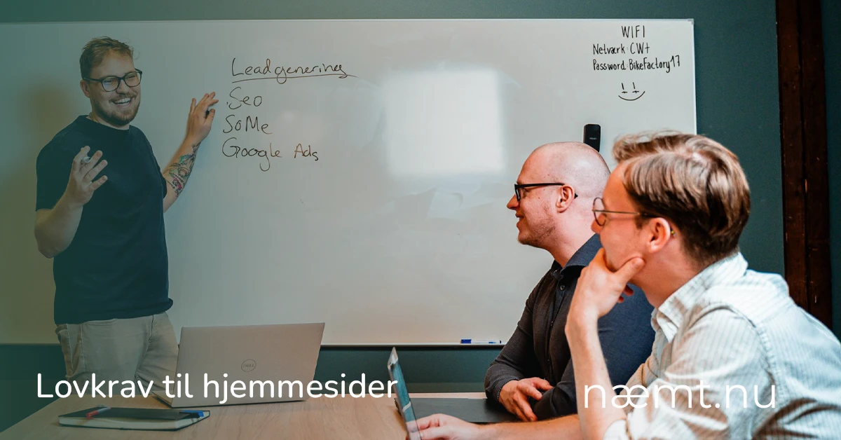 Sebastian fra næmt.nu forklarer lovkrav til hjemmesider