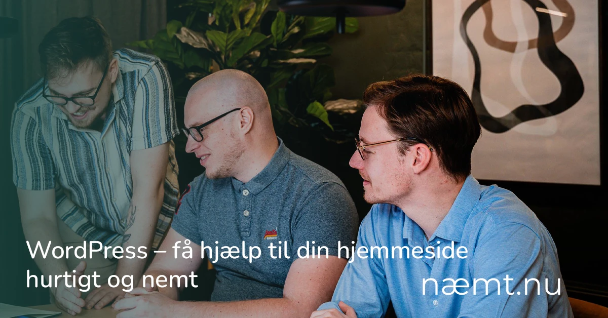 Sebastian fra næmt.nu forklarer WordPress